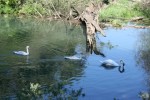 IMG_1411 (Small)
