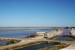 Camargue-044